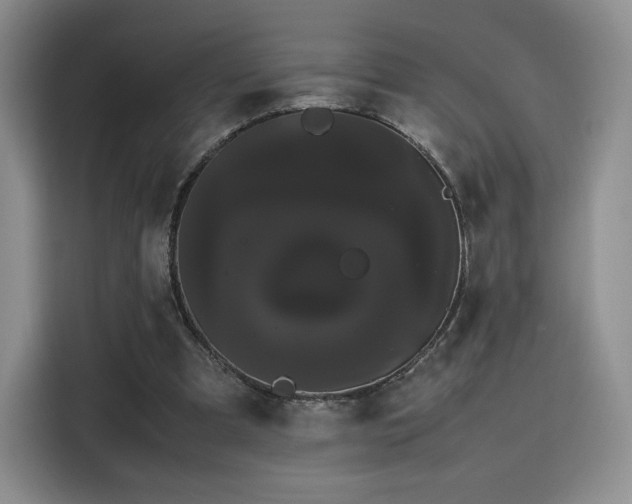 X0000116120297200911231220