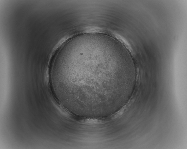 X0000116120298200911231220