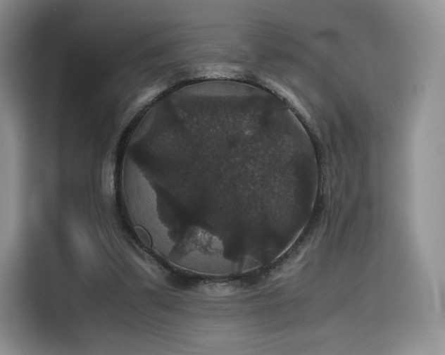 X0000116120299200911231220