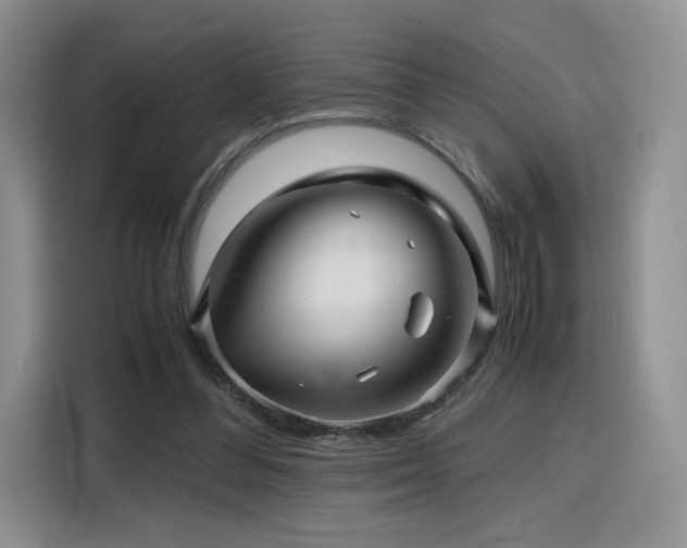 X0000116120300200911231220