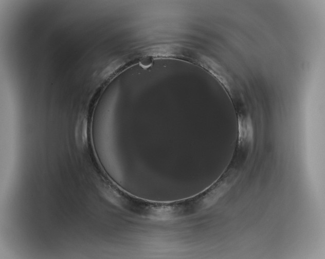 X0000116120301200911231220