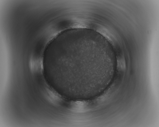 X0000116120302200911231220