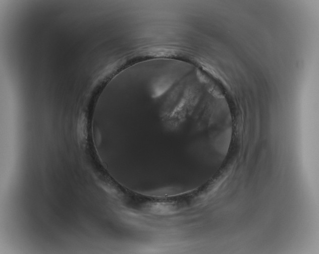 X0000116120303200911231220