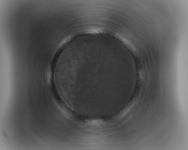 X0000116120304200911231220