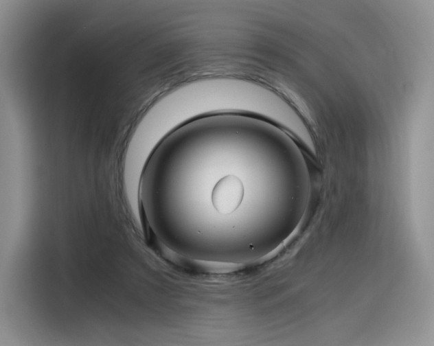 X0000116120305200911231220