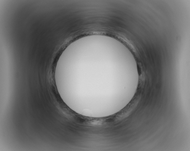 X0000116120306200911231220