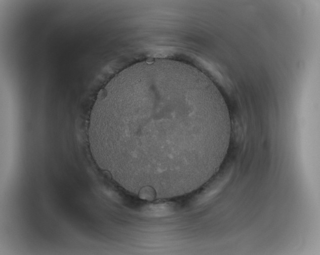 X0000116120307200911231220