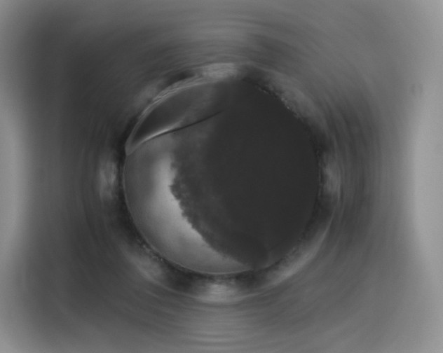 X0000116120308200911231220