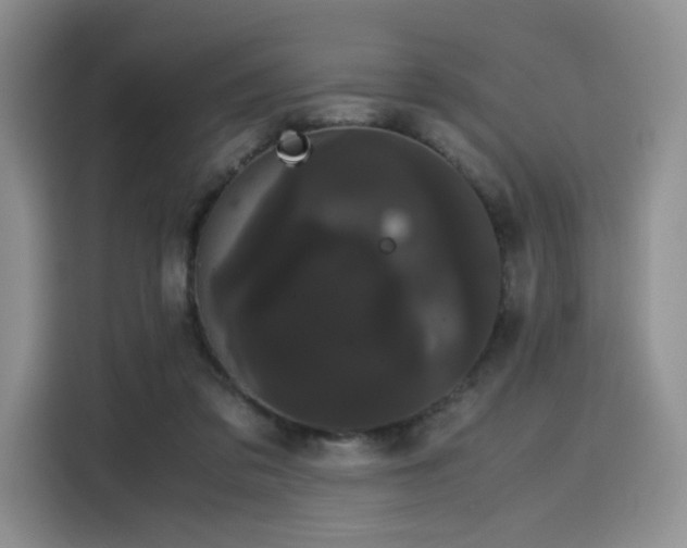 X0000116120309200911231220