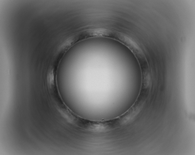 X0000116120310200911231220