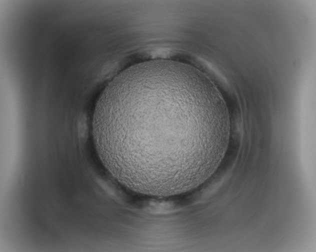 X0000116120311200911231220