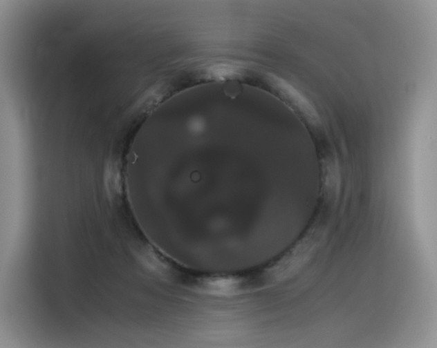 X0000116120313200911231220