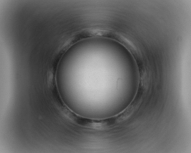 X0000116120314200911231220