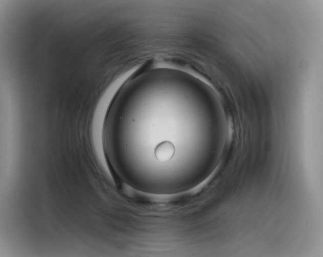 X0000116120316200911231220