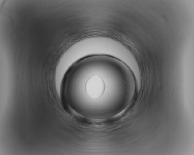 X0000116120317200911231220