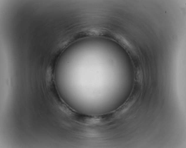 X0000116120318200911231220