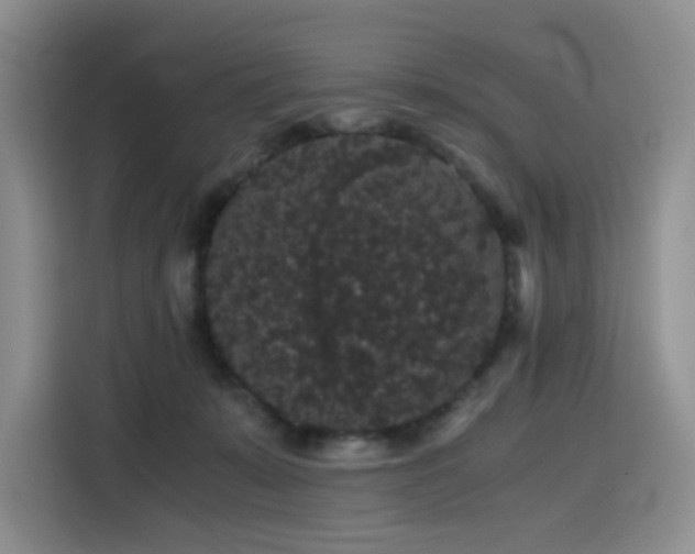 X0000116120319200911231220