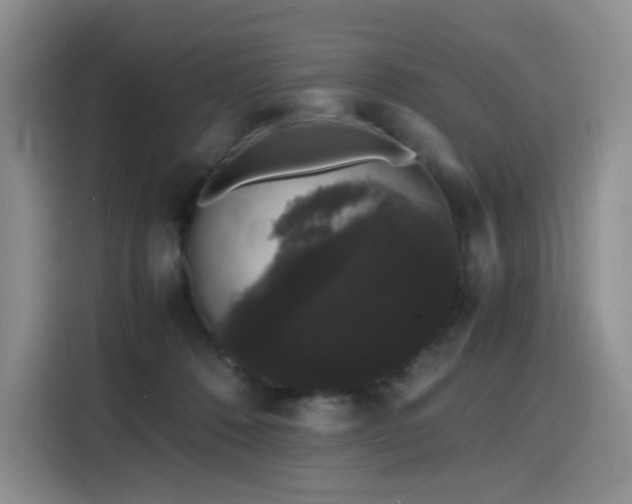 X0000116120320200911231220