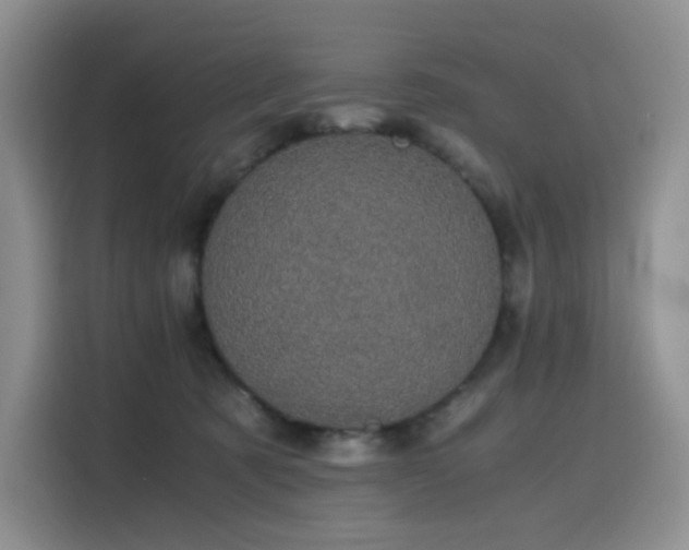 X0000116120321200911231220