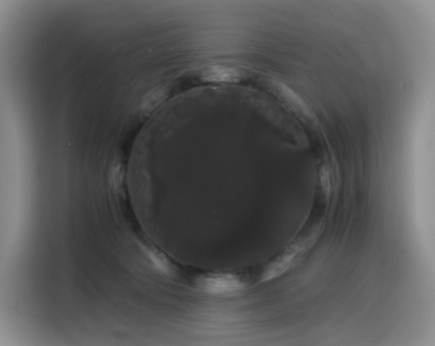 X0000116120322200911231220