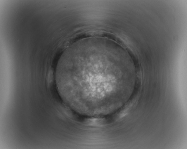 X0000116120323200911231220