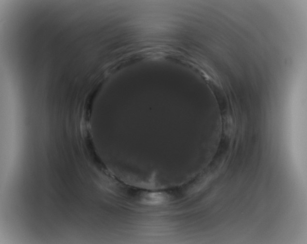 X0000116120324200911231220