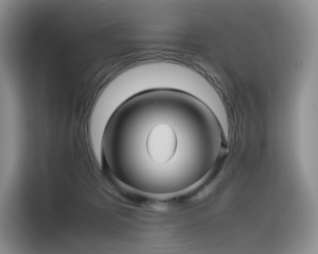 X0000116120325200911231220