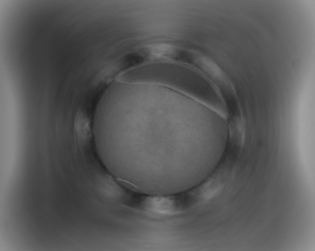 X0000116120327200911231220