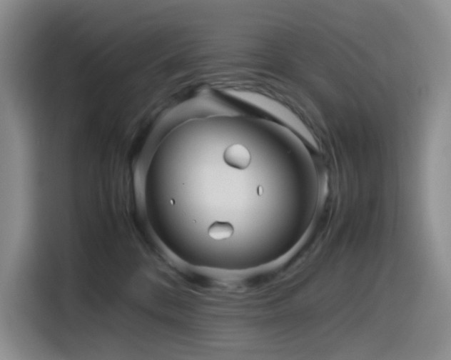 X0000116120328200911231220