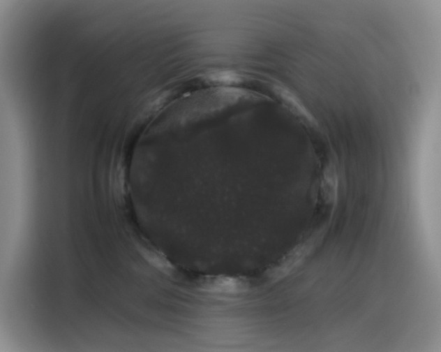 X0000116120330200911231220