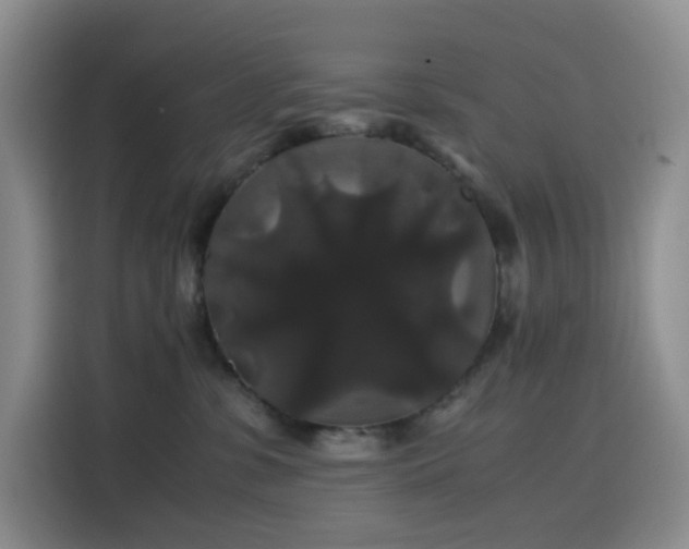 X0000116120331200911231220