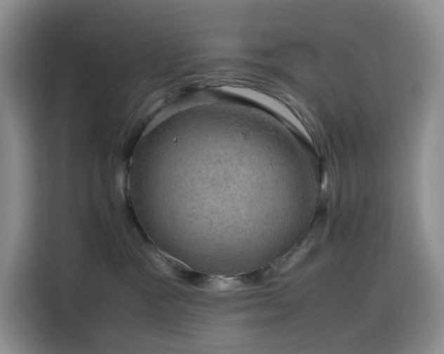 X0000116120333200911231220