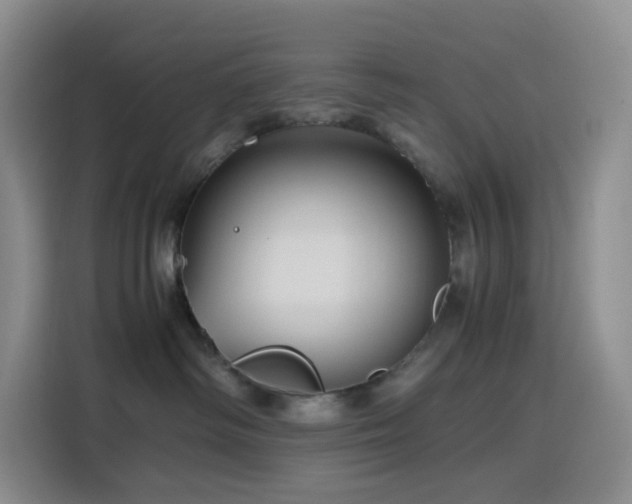 X0000116120334200911231220