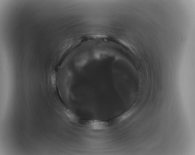 X0000116120336200911231220