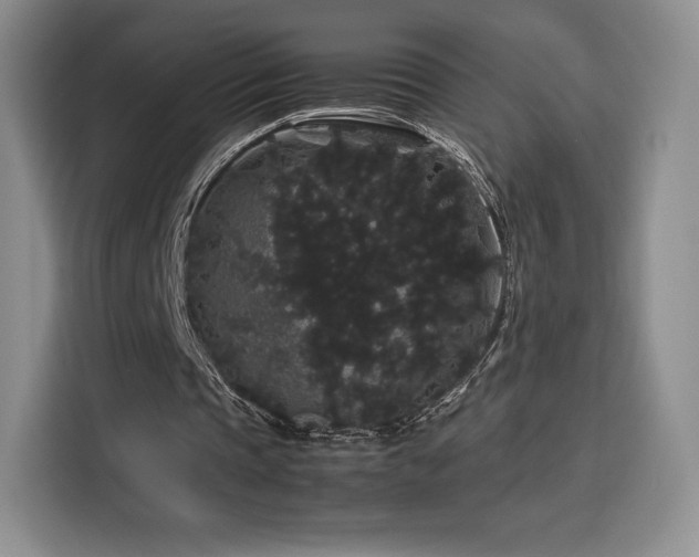 X0000116120337200911231219