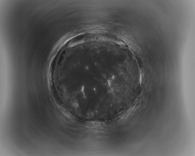 X0000116120339200911231219