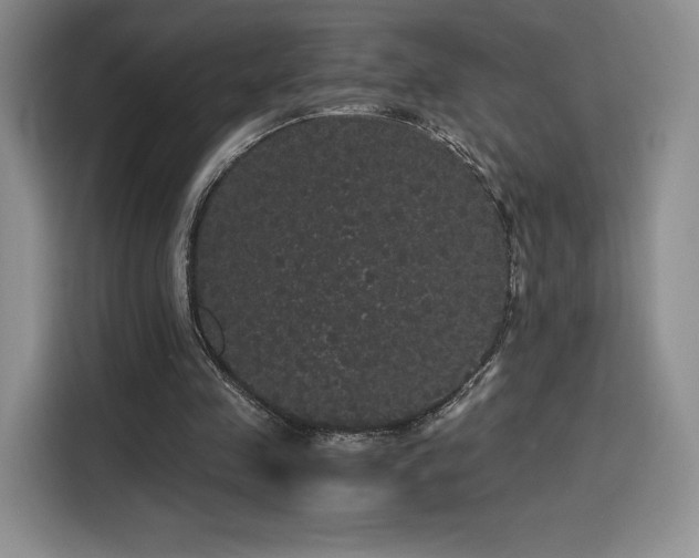 X0000116120341200911231219