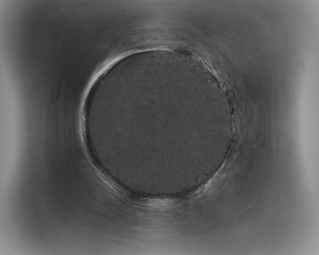 X0000116120342200911231219