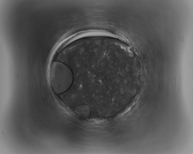 X0000116120343200911231219