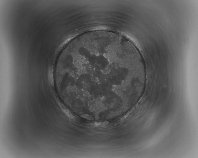 X0000116120345200911231219