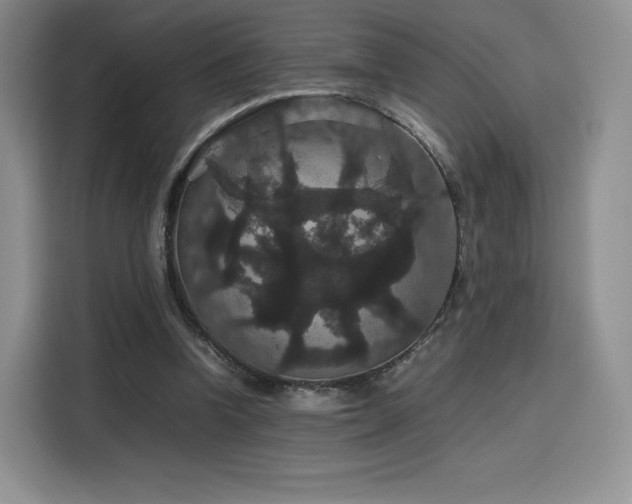 X0000116120346200911231219