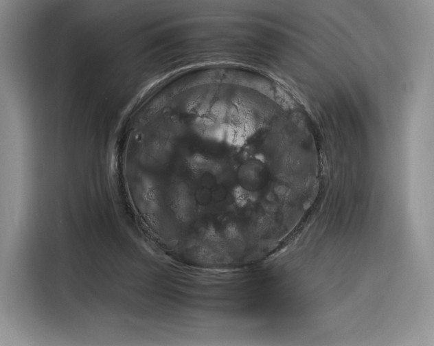 X0000116120347200911231219