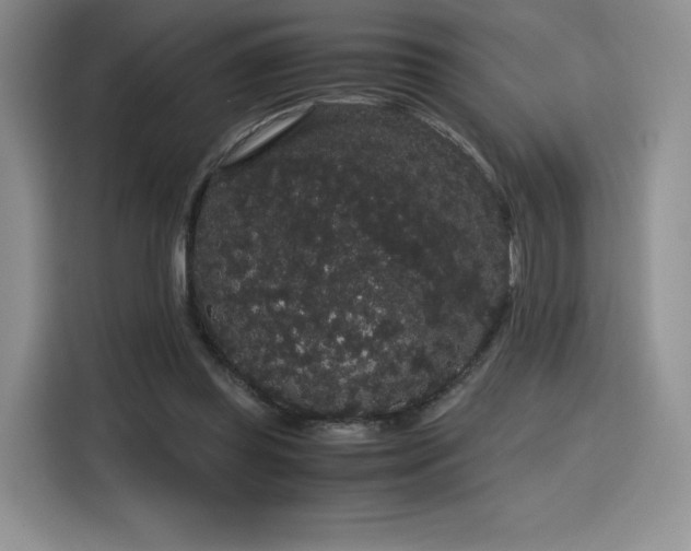 X0000116120349200911231219