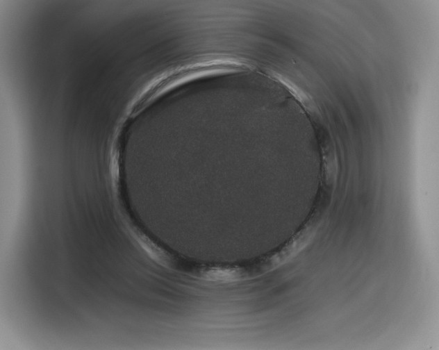 X0000116120350200911231219