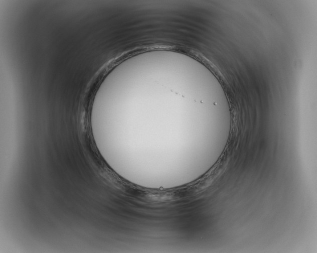 X0000116120351200911231220