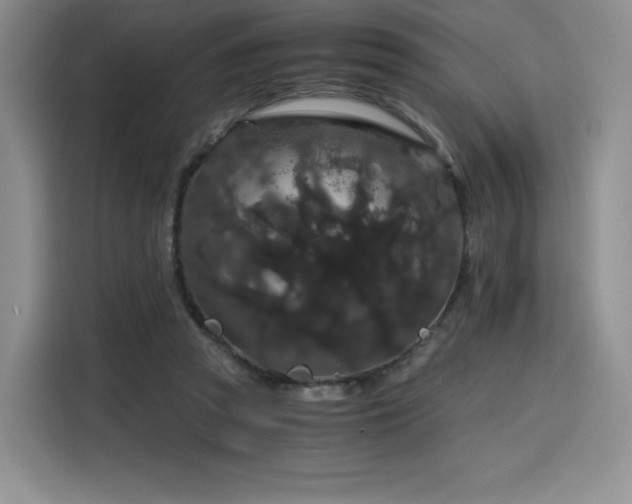 X0000116120353200911231220