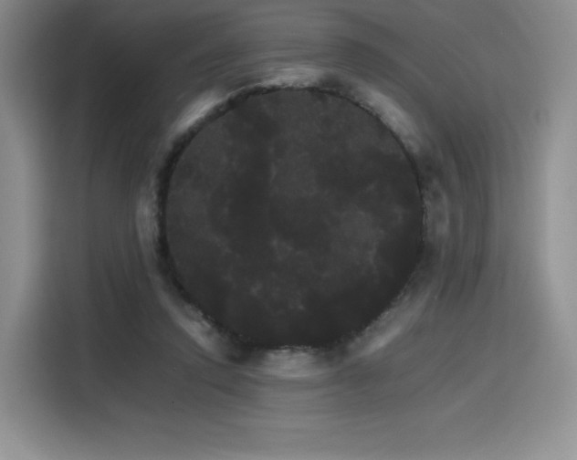 X0000116120354200911231220