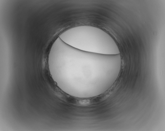 X0000116120355200911231220