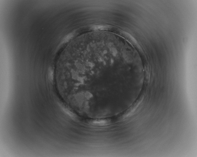 X0000116120357200911231220