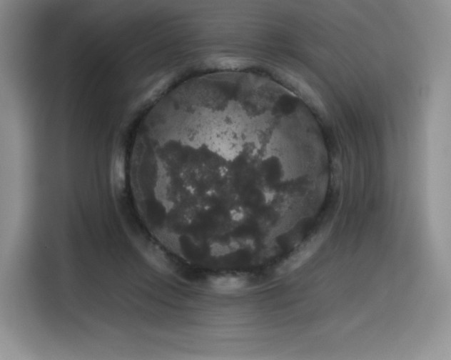 X0000116120358200911231220